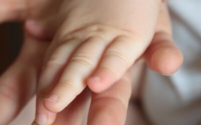 Ein-Zuhause-auf-Zeit