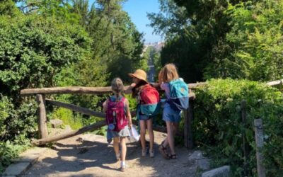 Kängurus im Viktoria-Park