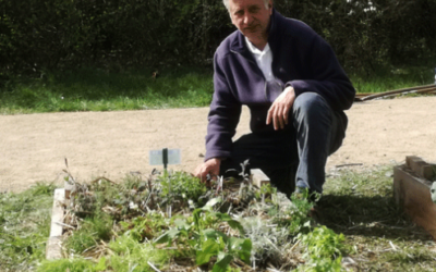 Kräutergarten auf der IGA