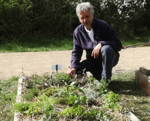 Kraeuterbeet_IGA-KreaGrundschule_Karlshorst