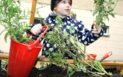 Schul- und Kita-Garten ausgezeichnet