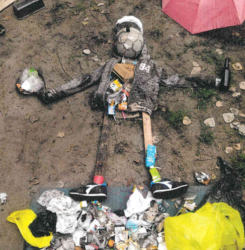 Wombats 1. Platz Fotowettbewerb