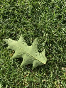 krea-grundschule-2020_Elise-S._7-Jahre-773x1030