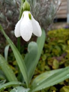 krea-grundschule-2020_Emma-W._10-Jahre_2-773x1030