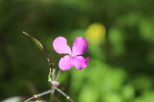 krea-grundschule-2020_Friedrich-B._9-Jahre-1030x687