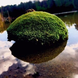 krea-grundschule-2020_Mika-W._11-Jahre-1030x1030