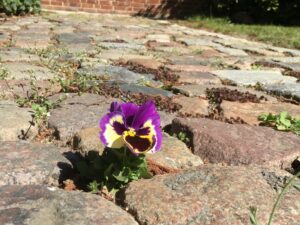 krea-grundschule-2020_Natalie-W._8-Jahre_1-1030x773