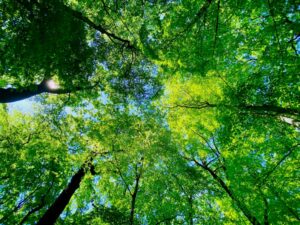 krea-grundschule-2020_Natalie-W._8-Jahre_2-1030x773