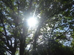 krea-grundschule-2020_Paul-H._12-Jahre_2-1030x773