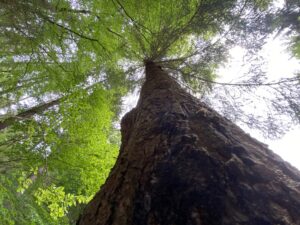 krea-grundschule-2020_Tilman-K._12-Jahre