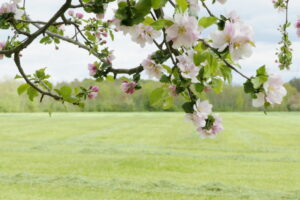 krea-grundschule-2020_Toby-B._8-Jahre-1030x687