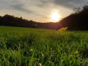 krea-grundschule-2021_Alexandra-K._11-Jahre-1030x773