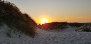 krea-grundschule-2021_Marius-E._11-Jahre_1-1030x501