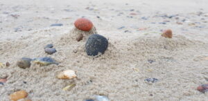 krea-grundschule-2021_Marius-E._11-Jahre_2-1030x501