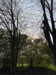 krea-grundschule-2022_Alexandra-V._7-Jahre_1-773x1030