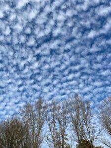 krea-grundschule-2022_Alexandra-V._7-Jahre_3-773x1030