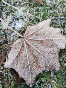 krea-grundschule-2022_Bruno-S._7-Jahre_1-773x1030