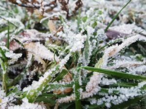 krea-grundschule-2022_Bruno-S._7-Jahre_2-1030x773