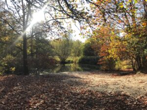 krea-grundschule-2023_Anni-D._7-Jahre_3-1030x773