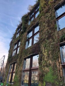 krea-grundschule-2023_Emilian-N._8-Jahre_2-773x1030