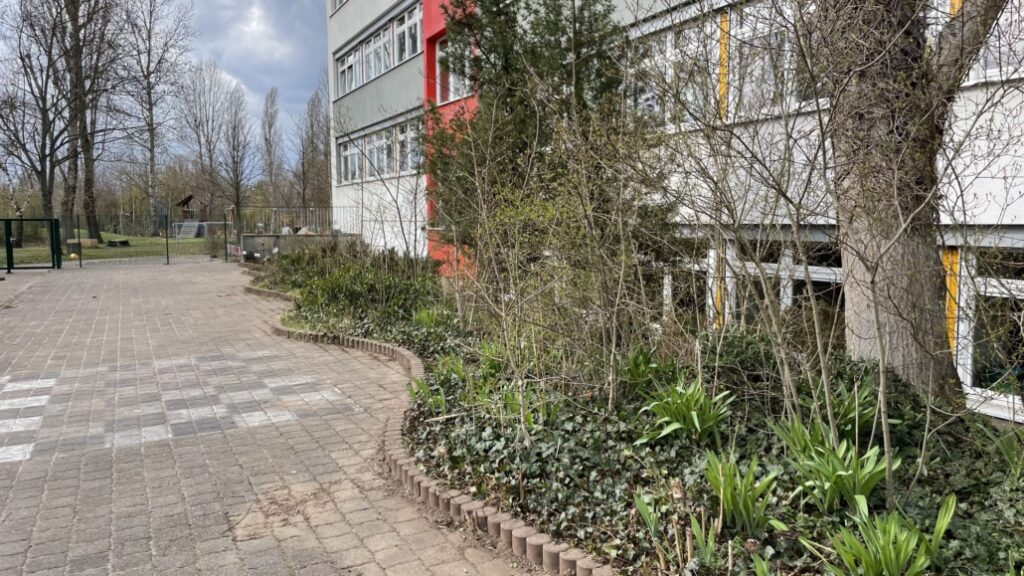 krea-grundschule-thumbnail-3